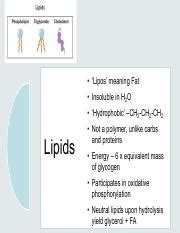 Lipos Meaning .